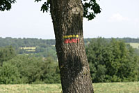 GRANDE RANDONNEE : GR5_1